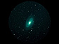 M81