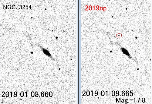 こじし座の超新星