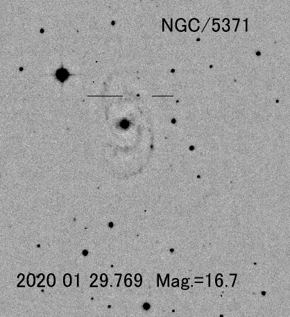 りょうけん座の超新星