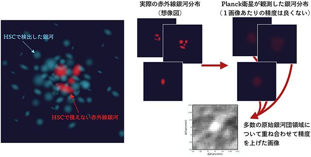 画像解析手法の模式図