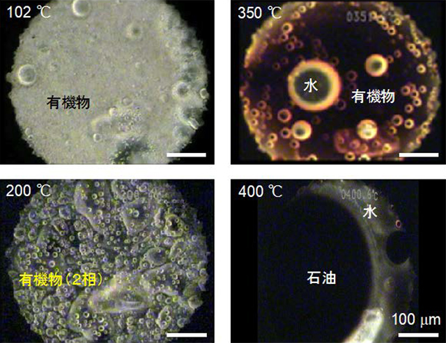 模擬星間有機物の加熱実験