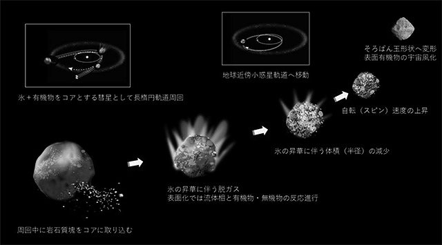 母天体からリュウグウが現在の姿になるまでを示したイラスト