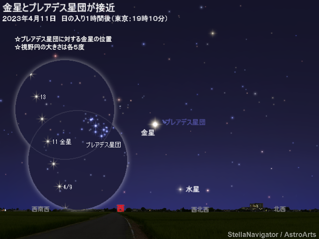 星図