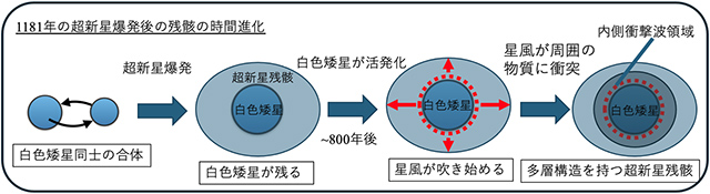 SN 1181とその残骸の時間進化