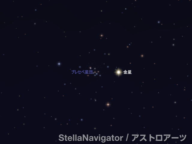 9月1日 金星とプレセペ星団が大接近