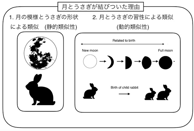 月とうさぎの結びつき