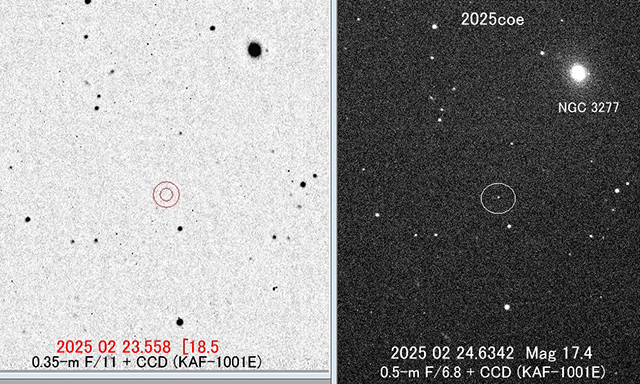 こじし座の新天体