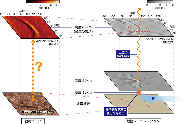 観測データとシミュレーションの比較