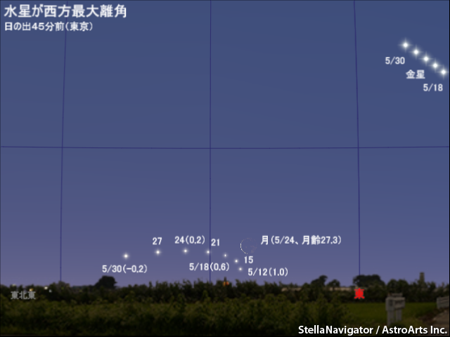 5月中旬から下旬の見え方