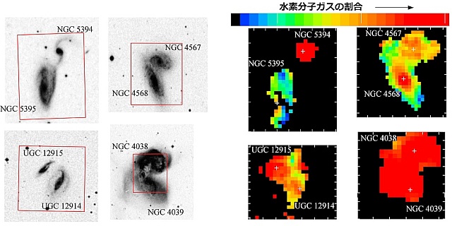 相互作用銀河における水素分子ガスの空間分布