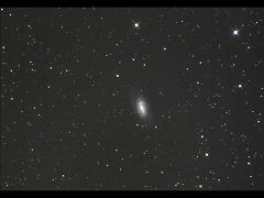 NGC 2903