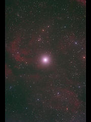 IC 1318