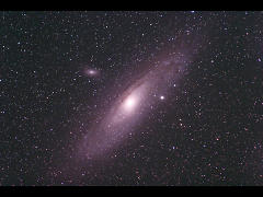 M31