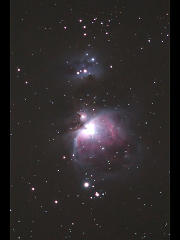 M42