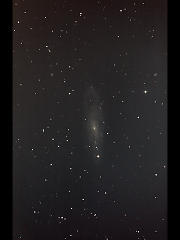 NGC247