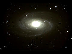 ޺M81