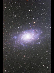 M33