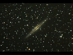 NGC891