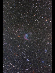 NGC2359