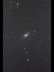 NGC2403