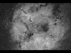 IC1396