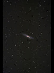 NGC253