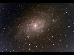 M33