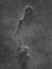 IC1396