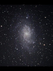 M33