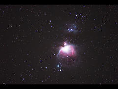 M42