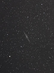 NGC891