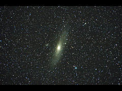 M31