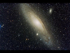 M31