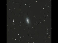 NGC2903