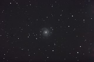 M74μ̿