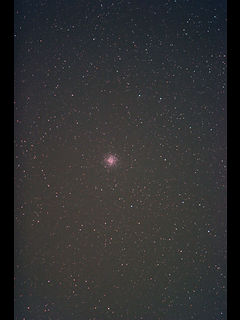 M55μ̿