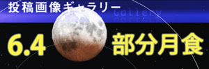 Ʋ꡼2012ǯ64 ʬ